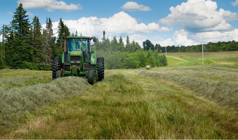 Bailing hay at Jasper Hill
